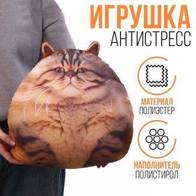 Игрушка антистресс "Кот"