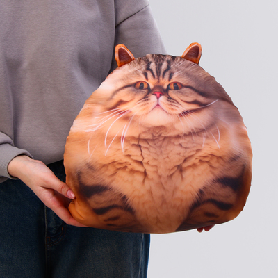 Игрушка антистресс «Кот»