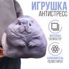 Игрушка антистресс "Шиншилла" - фото 109652707