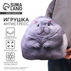 Игрушка антистресс «Шиншилла» - Фото 1