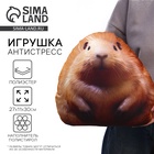 Игрушка антистресс «Морская свинка» - Фото 1