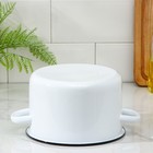 Кастрюля эмалированная, 2.9 л, d=20 см, цилиндрическая, МИКС - Фото 4