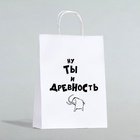 Пакет подарочный крафт с приколами «Ну ты и древность», 28×24×14 см, 1 шт. - Фото 2