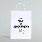 Пакет подарочный крафт с приколами «Ну ты и древность», 28×24×14 см, 1 шт. - Фото 3