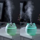 УЦЕНКА Увлажнитель HM-16 "Котенок"ультразвуковой,0.23 л,2 Вт,подсветка,USB ( в комп-те) - Фото 2