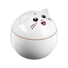 УЦЕНКА Увлажнитель HM-16 "Котенок"ультразвуковой,0.23 л,2 Вт,подсветка,USB ( в комп-те) - Фото 4