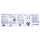 Набор для опытов «Увлекательная наука», химия индикаторов, в пакете - фото 24664934