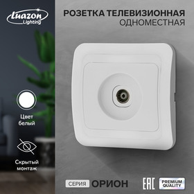 Розетка телевизионная одноместная Luazon Lighting "Орион", скрытая, белая 9919865