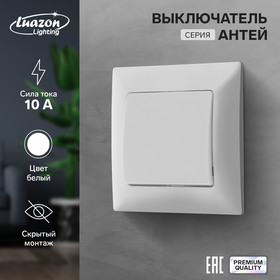 Выключатель Luazon Lighting "Антей", 10 А, 1 клавиша, скрытый, белый 9925733