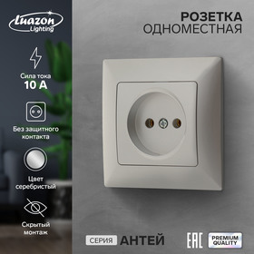 Розетка одноместная Luazon Lighting "Антей", 10 А, скрытая, без з/к, серебристая 9925767