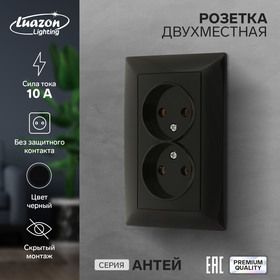 Розетка двухместная Luazon Lighting "Антей", 10 А, скрытая, без з/к, черная 9925776