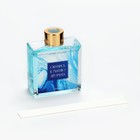 Диффузор ароматический палочки, ароматизатор для дома «Аромадиффузор: Окунись в магию аромата», аромат морской, 100 мл. - Фото 3