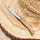 Нож складной "Плющ" 19,5см, клинок 90мм/2мм, рукоять дерево - фото 321060840