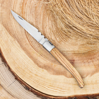 Нож складной "Плющ" 19,5см, клинок 90мм/2мм, рукоять дерево - Фото 2