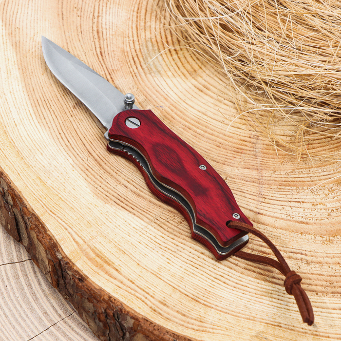 Нож перочинный складной "Акажу" 13,5см, клинок 57мм/2,5мм, рукоять дерево - Фото 1