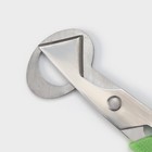 Ножницы для перепелиных яиц Доляна, 14×6 см, цвет зелёный - фото 4419446