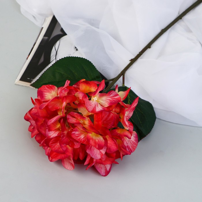 Цветы искусственные "Гортензия элит" d-18 см 50 см, красный - Фото 1
