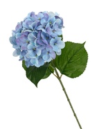Цветы искусственные «Гортензия элит», h=50 см, d=16 см, голубые - Фото 5