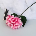 Цветы искусственные "Гортензия элит" d-18 см 50 см, розовый - фото 12081204