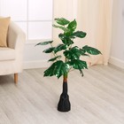 Дерево искусственное «Филодендрон конго», h=80 см - Фото 1