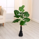 Дерево искусственное «Алоказия», h=74 см - Фото 2