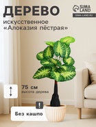 Дерево искусственное «Алоказия пёстрая», h=75 см - Фото 1