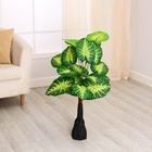 Дерево искусственное «Алоказия пёстрая», h=75 см - Фото 3