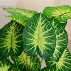 Дерево искусственное «Алоказия пёстрая», h=75 см - Фото 4