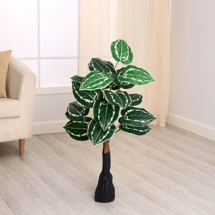 Дерево искусственное «Калатея пёстрая», h=80 см - Фото 1