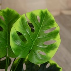 Дерево искусственное «Монстера галант», h=80 см - фото 51777979