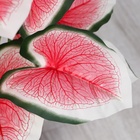 Дерево искусственное «Каладиум Флорида», h=87 см - фото 51777983