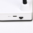 Настольная лампа «Парасоль» LED, от USB/АКБ 6 Вт сенсор 3000-6000 белый 14×10×37 см RISALUX - Фото 7