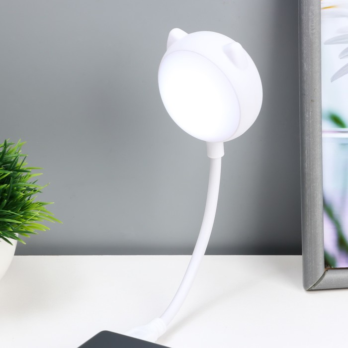 Ночник «Котик» LED 2 Вт USB белый 13.5×8.5×30 см RISALUX - Фото 1