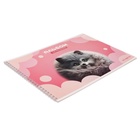 Альбом для рисования А4, 24 листа на гребне "Пушистики", обложка картон, блок офсет 100 г/м2, МИКС - фото 23781714