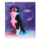 Тетрадь 12 листов в частую косую линию на скрепке "Собаки", обложка мелованный картон, ВД-лак, МИКС - Фото 3