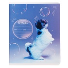 Тетрадь 12 листов в частую косую линию на скрепке "Собаки", обложка мелованный картон, ВД-лак, МИКС - Фото 5