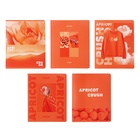 Тетрадь 48 листов в клетку на скрепке Apricot, обложка мелованный картон, матовая лаимнация, МИКС - фото 301202215