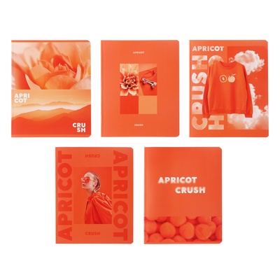 Тетрадь 48 листов в клетку на скрепке Apricot, обложка мелованный картон, матовая лаимнация, МИКС