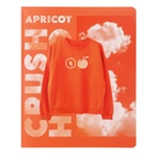 Тетрадь 48 листов в клетку на скрепке Apricot, обложка мелованный картон, матовая лаимнация, МИКС - Фото 7