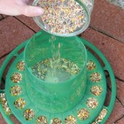 Кормушка бункерная для домашней птицы на 2 кг, пластик - Фото 5