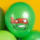 Шар латексный 12" «Черепашки. Ассорти», 2 ст., 25 шт., МИКС - фото 23687218