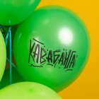 Шар латексный 12" «Черепашки. Ассорти», 2 ст., 25 шт., МИКС - фото 23687219