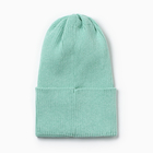 Шапка детская, цвет мята, размер 52-56 10322091