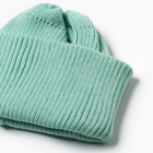 Шапка детская, цвет мята, размер 52-56 10322091