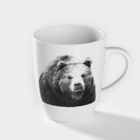 Кружка фарфоровая «Медведь», 300 мл, белая - фото 4419624
