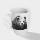Кружка фарфоровая «Медведь», 300 мл, белая - фото 4419625