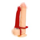 Насадка на пенис для двойного проникновения Black&Red by Toyfa, 19 см, силикон, красная - Фото 5