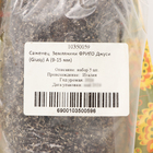 Саженец  Земляники ФРИГО Джуси (Giusy) A (9-15 мм), 5 шт - фото 25281367