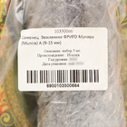 Саженец  Земляники ФРИГО Мунира (Munira) A (9-15 мм), 5 шт - фото 25281379