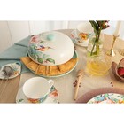 УЦЕНКА Блинница Доляна «Пташка», d=23 см - Фото 7